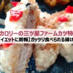 【ダイエットに朗報】低カロリー三ツ星ファームのカツ特集|ガッツリ食べられる揚げ物
