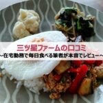 三ツ星ファームの口コミ|在宅勤務で毎日食べる筆者が本音でレビュー