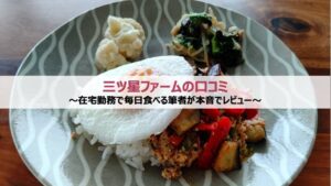 三ツ星ファームの口コミ｜在宅勤務で毎日食べる筆者が本音でレビュー